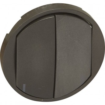 Клавиша управляющего устройства MyHome Play Zigbee 2-канального графит