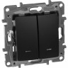 Выключатель LEGRAND Etika двухклавишный с подсветкой автоматические клеммы 10 AX 250 В антрацит 672604