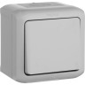 Выключатель LEGRAND Quteo без фиксации (кнопка) 6 A 250 В IP 44 Серый 782335