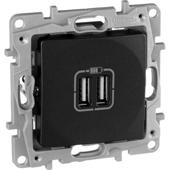 Зарядное устройство LEGRAND Etika с двумя USB-разьемами 240В/5В 2400мА антрацит